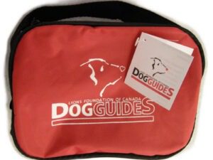 Standard First Aid