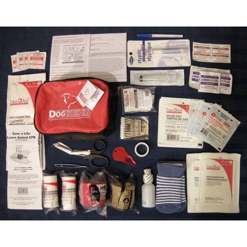 Standard First Aid - Image 2