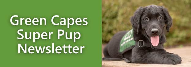 Green Capes Super Pup Newsletter
