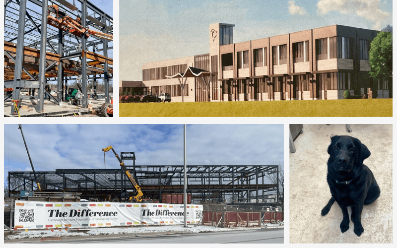 A collage showing the construction progress of the new Dog Guides facility in Oakville. Top left is the west side view with the framework of the new building behind a big “The Difference” banner. Top right is the south view at ground level. Bottom left shows many busy workers all over the frame of the new building. Bottom middle is puppy Turner acting as a greeter during a meeting, he is very good and waits on command but still prefers a belly rub. Bottom right shows the framework of the two wings are both complete