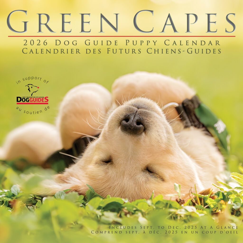 An image of the 2026 Green Capes Dog Guide Puppy Calendar Cover, featuring a heartwarming scene of a young golden retriever puppy nestled in lush green grass. The puppy is lying on its back, its paws gently tucked up, and its head tilted back, exposing its closed eyes and cute, dark nose. Its fur is light golden, soft and fluffy, appearing incredibly soft and clean. A small portion of a dark green and black puppy collar is visible at the edge of the frame. The puppy appears completely relaxed and peaceful, suggesting a mood of serenity and tranquility.