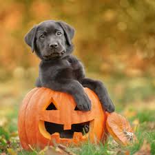 October 2025