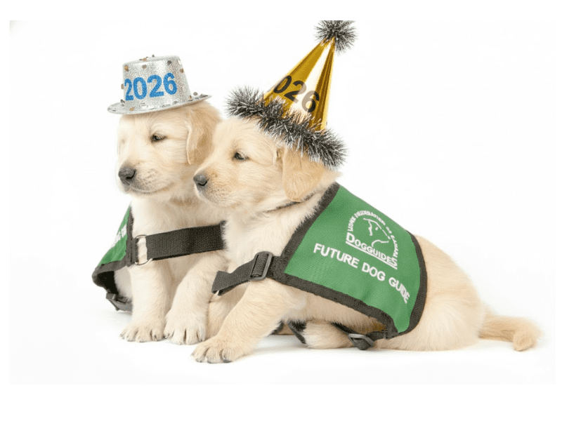 January 2026