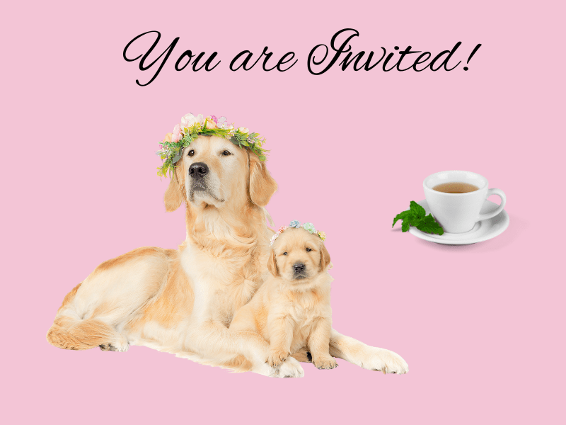 Text: You are Invited followed by Image of Golden Retreiver Mom and puppy with garlands and a cup of tea.